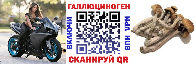 Галлюциногенные грибы Magic Shrooms Холм