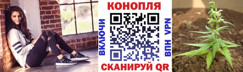Бошки Шишки VHQ  маркетплейс официальный сайт  Холм  hydra ссылки 